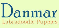 Danmar Labradoodles Logo