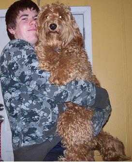 A young man holding a large, golden, curly-haired dog.