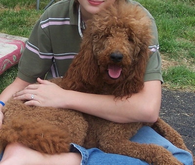 A person sitting on the ground holding a curly-haired brown dog.