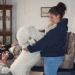A woman in a blue jacket stands in a living room, hugging a large white poodle standing on its hind legs.